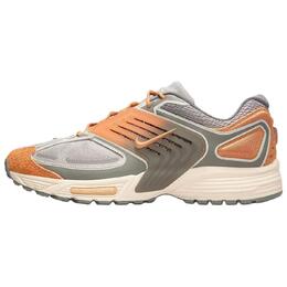 Nike Кроссовки Air Pegasus Wave Premium College Grey Flat Pewter Phantom Copper Moon ib7717-009 | gray