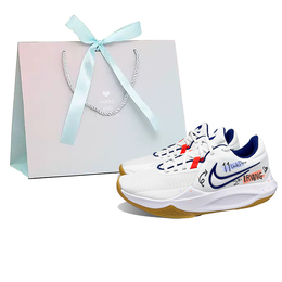 Nike Баскетбольные кроссовки Precision 6 с амортизацией, противоскользящие и износостойкие, низкие, мужские, белые hv1796-141(team862-德鲁大叔-礼袋) | white