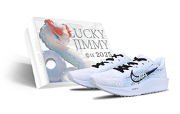 Nike Кроссовки для бега Quest 6 Low Top, мужские, белые, синие fd6033-100(team51-蓝蚀冰锋sbox) | white (box)