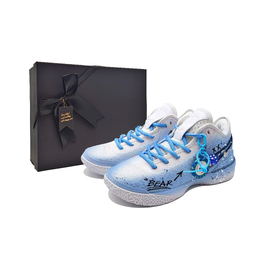 Nike Баскетбольные кроссовки LeBron NXXT Gen с низким верхом и противоскользящим покрытием, мужские, синие dr8788-101(team603-蓝熊冰川礼盒） | blue (box)