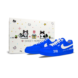 Nike Кроссовки для скейтбординга Court Vision 1, низкие, мужские, синие/белые dh2987-101（team1297-此生必驾蓝牌礼盒 ） | blue/white