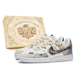 Nike Кроссовки Court Vision 1 PMS Box, Moving Forward, нескользящие, водонепроницаемые, низкие, для скейтбординга, мужские, сине-белые dh2987-101(team584-向前-box) | blue white