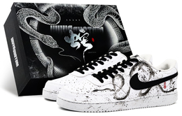 Nike Кроссовки Court Vision 1 с низким верхом, амортизирующие, противоскользящие, износостойкие, для скейтбординга, мужские, белые, черные dh2987-101((team52-蛇吟s-box男) | white black