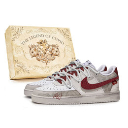 Nike Кроссовки Court Vision PMS Box, Crimson Flame Serpent, нескользящие, водонепроницаемые, низкие, для скейтбординга, мужские, коричневые, белые dh2987-101(team584-赤炎蛇-box) | brown white