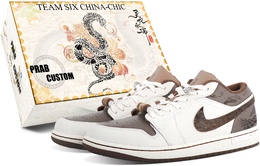Jordan Баскетбольные кроссовки Air 1 Vintage, низкие, мужские, коричневые/бежевые hf5753-221（team375-男款尖吻蝰sbox） | beige white brown