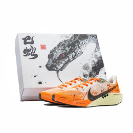 Nike Кроссовки Zoom Pegasus 41 с низким верхом, противоскользящие, износостойкие, легкие, бежево-оранжево-коричневые hv5975-102 (team335-橙影驰风礼盒版1） | beige orange brown (snake charm box)