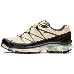 Кроссовки Sneakersnstuff X XT 6 GORE TEX 'Almond Milk Seagrass' Salomon, White/Black/Brown l47792800 | white/black/brown