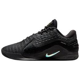 Nike Кроссовки LeBron 22 'Black Label' ib3866-001 | black