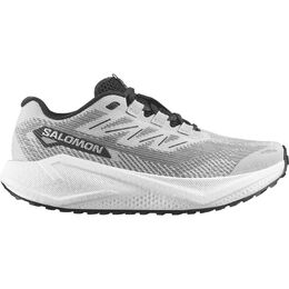 Беговые кроссовки Aero Blaze 3 GRVL Salomon, мультиколор salzb0r-lurowhbl | lunar rock/white/black
