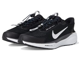 Кроссовки Nike Pegasus Easy On, цвет Black/White/Anthracite/Photon Dust 10020708 | black/white/anthracite/photon dust