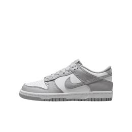 Баскетбольные кроссовки Dunk для детей и подростков Nike, белый/серый fb9109-123 | white light smoke gray
