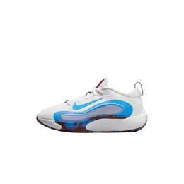 Детские баскетбольные кроссовки ISOFLY Nike, белый/синий fn4384-101 | white blue