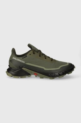 Кроссовки Alphacross 5 GTX Salomon, зеленый l47310300 | zielony
