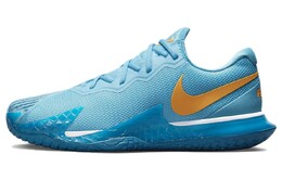 Мужские теннисные кроссовки Nike Air Zoom Vapor Cage 4 HC dd1579-400
