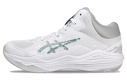 Мужские баскетбольные кроссовки Asics Nova Flow, White 1063a071-100 | white