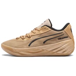 Баскетбольные кроссовки All-Pro Nitro мужские низкие коричневые Puma 310431-01 | brown
