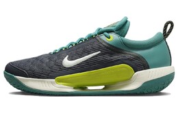 Мужские теннисные кроссовки Nike Court Zoom NXT dv3276-300