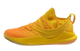 Баскетбольные кроссовки Under Armour CURRY 5 мужские 3021708-700