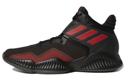 Мужские баскетбольные кроссовки Adidas Crazy Explosive bb7301