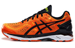 Кроссовки Asics Gel-Kayano 23 Мужчины t646n-0990