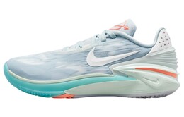 Мужские баскетбольные кроссовки Nike Air Zoom GT Cut 2 dj6015-402