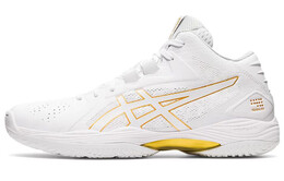 Баскетбольные кроссовки Asics Gel-Hoop V13 унисекс 1063a035-102