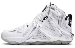 Мужские баскетбольные кроссовки Nike Lebron 12 Elite 806951-100