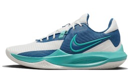 Мужские баскетбольные кроссовки Nike Precision 6 dd9535-008