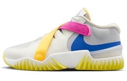 Мужские баскетбольные кроссовки Nike Zoom Court Dragon dv8166-041