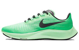 Кроссовки Nike Pegasus 37 мужские cz9074-303