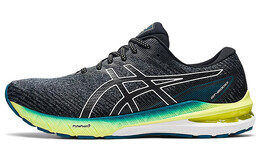 Мужские кроссовки Asics GT-2000 10 1011b185-020