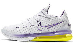 Баскетбольные кроссовки Nike Lebron 17 мужские cd5006-102