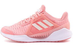 Женские кроссовки Adidas Climacool 2.0 eg1119