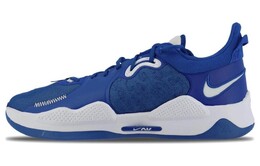 Мужские баскетбольные кроссовки Nike PG 5 dm5045-401
