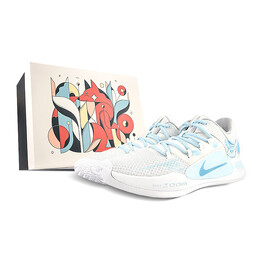 Баскетбольные кроссовки Hyperdunk X мужские низкие синие Nike ar0465-100(team40-男款运动小狗sbox) | white/blue