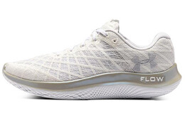 Мужские кроссовки Under Armour Flow Velociti Wind 3025204-101