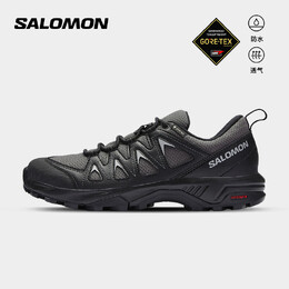 Кроссовки Salomon X Braze GTX W, серый 694615860985 | 磁铁灰471807