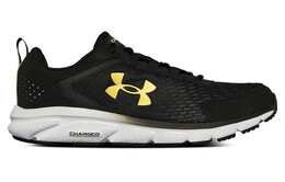 Мужские кроссовки для бега Under Armour Charged Assert 9 3025705-007