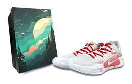 Баскетбольные кроссовки Hyperdunk X мужские с низким верхом белого цвета Nike ar0465-100(team76-纯爱战靴s-box) | white