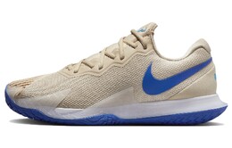Мужские теннисные кроссовки Nike Court Zoom Vapor dd1579-104