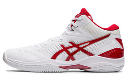 Баскетбольные кроссовки Asics Gel-Hoop V12 унисекс 1063a021-102