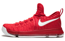 Мужские баскетбольные кроссовки Nike KD 9 843392-611