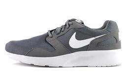 Кроссовки Kaishi мужские с низким верхом серые/белые Nike 654473-011