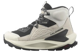 Женские кроссовки Elixir Mid GORE-TEX 'Vanilla Ice Lemon' Salomon, серый 472970 | gray