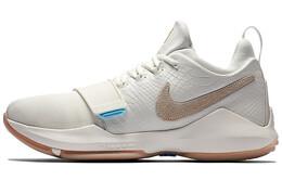 Мужские баскетбольные кроссовки Nike PG 1 878627-110
