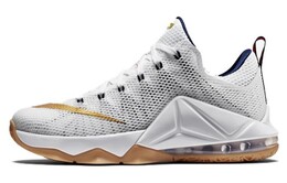 Мужские баскетбольные кроссовки Nike Lebron 12 724557-174