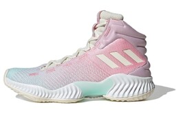 Кроссовки Adidas Pro Bounce 2018 Pink, розовый ig4496 | pink and blue