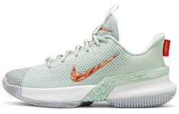 Мужские баскетбольные кроссовки Nike Ambassador 13 cq9329-300