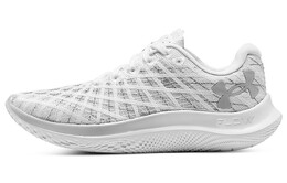 Женские кроссовки Under Armour Flow Velociti Wind 2 3025662-100