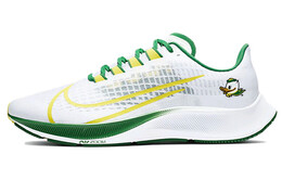 Кроссовки для бега Nike Pegasus 37 унисекс cz5389-100